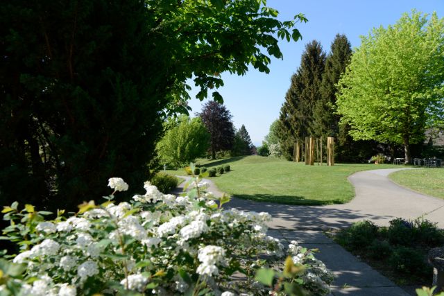 Park_2