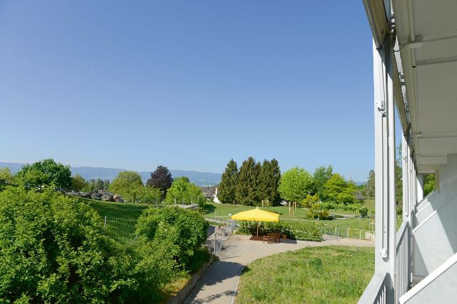 Park Aussicht Blauer Himmel