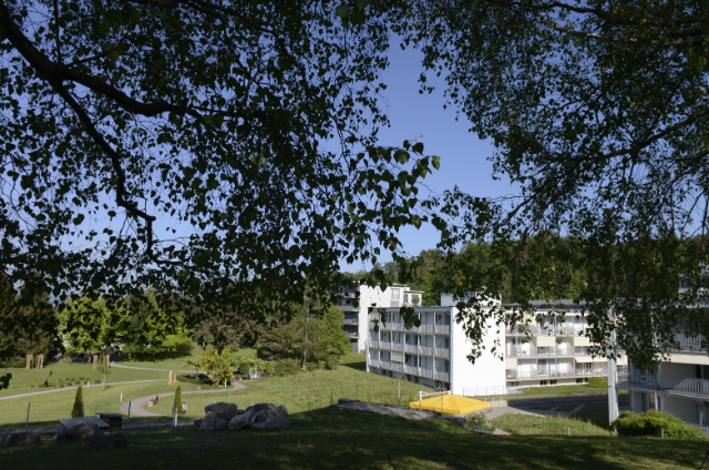 Park Baum Vordergrund Gebäude Hintergrund