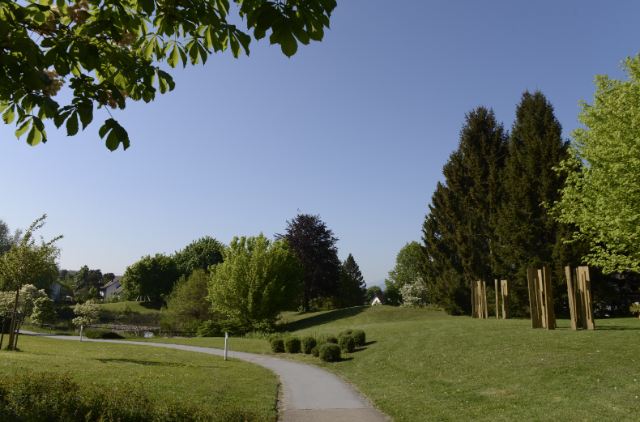 Park Weite Weg Baum Vordergrund