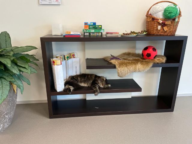 059e9213-dba7-4c9e-8bd7-9f3e64f70a3a