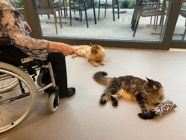 d0aff476-9a76-494c-bd5f-95ee2ad584bc