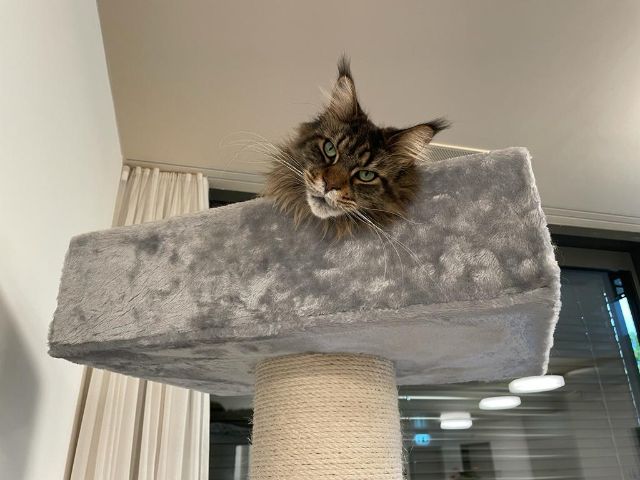 f8e5aef2-8acc-4d04-8776-e15ba6c8e5e9