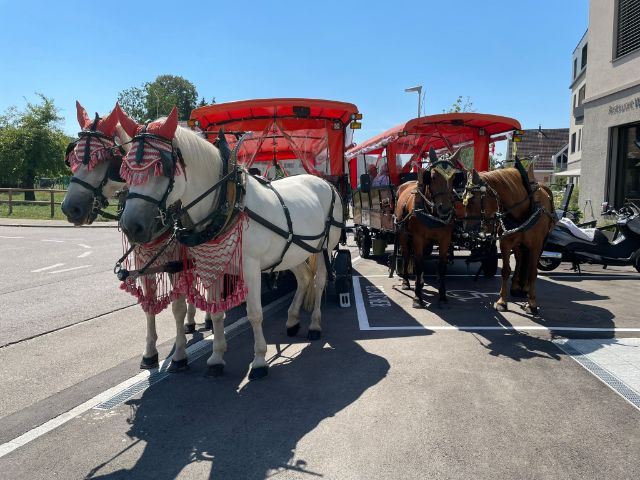 87d494ea-b3c9-4747-9005-f7cf62e80ed7