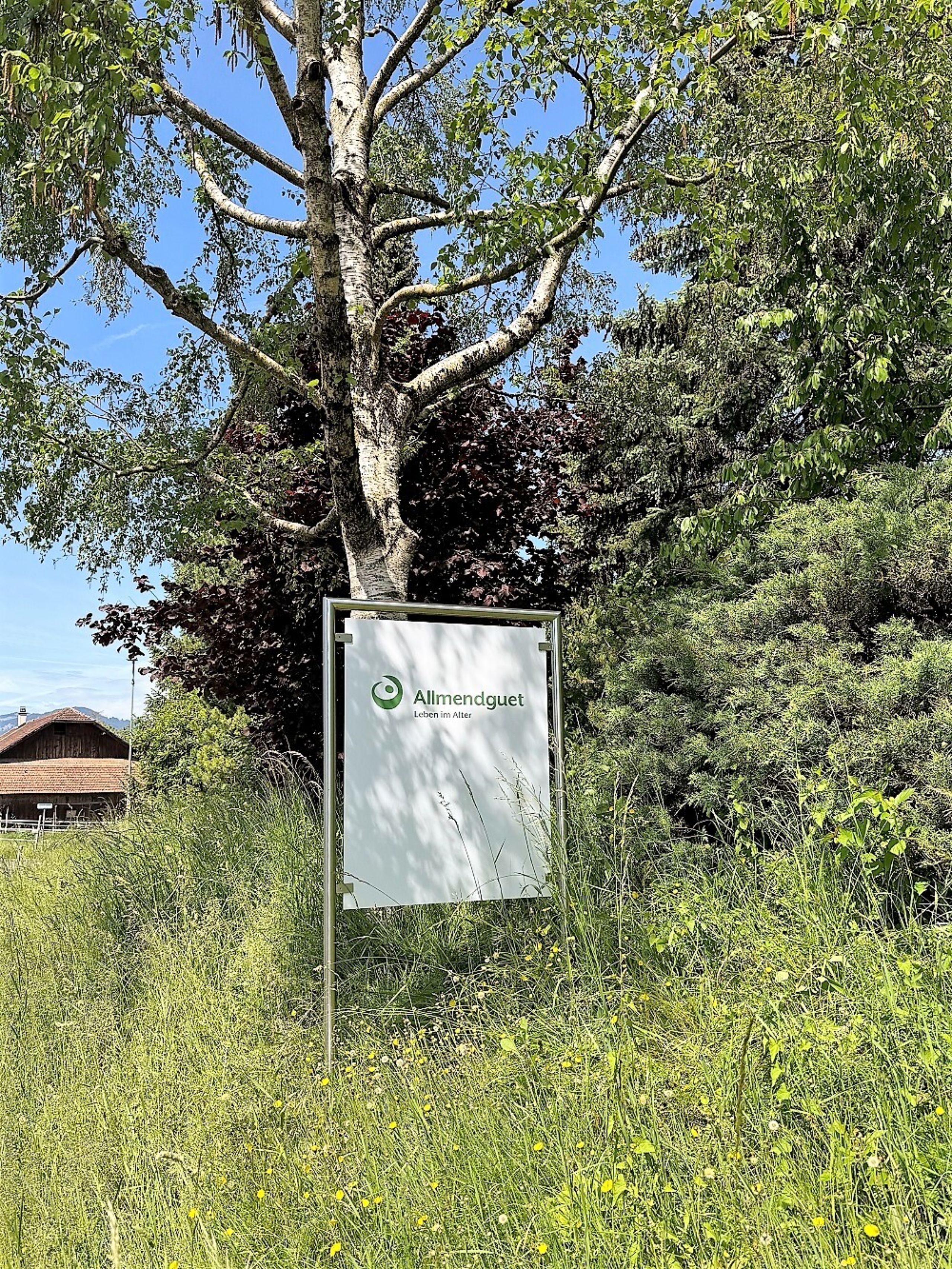 Signaletik6