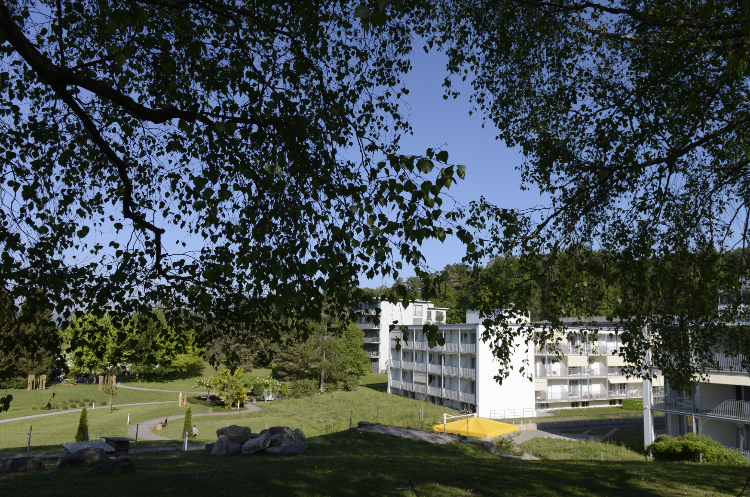 Park Baum Vordergrund Gebäude Hintergrund