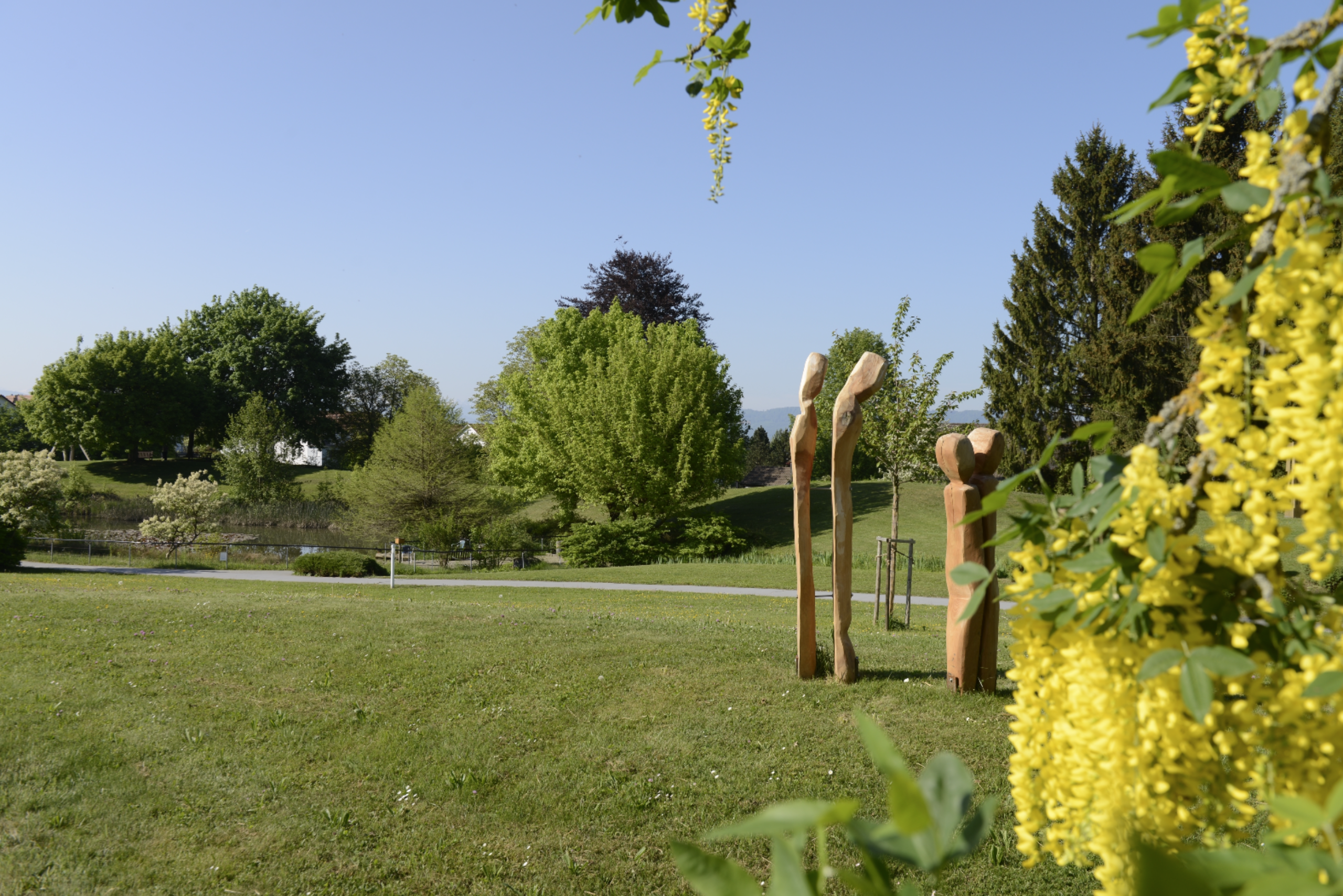 Park Gelber Strauch Vordergrund Kunst
