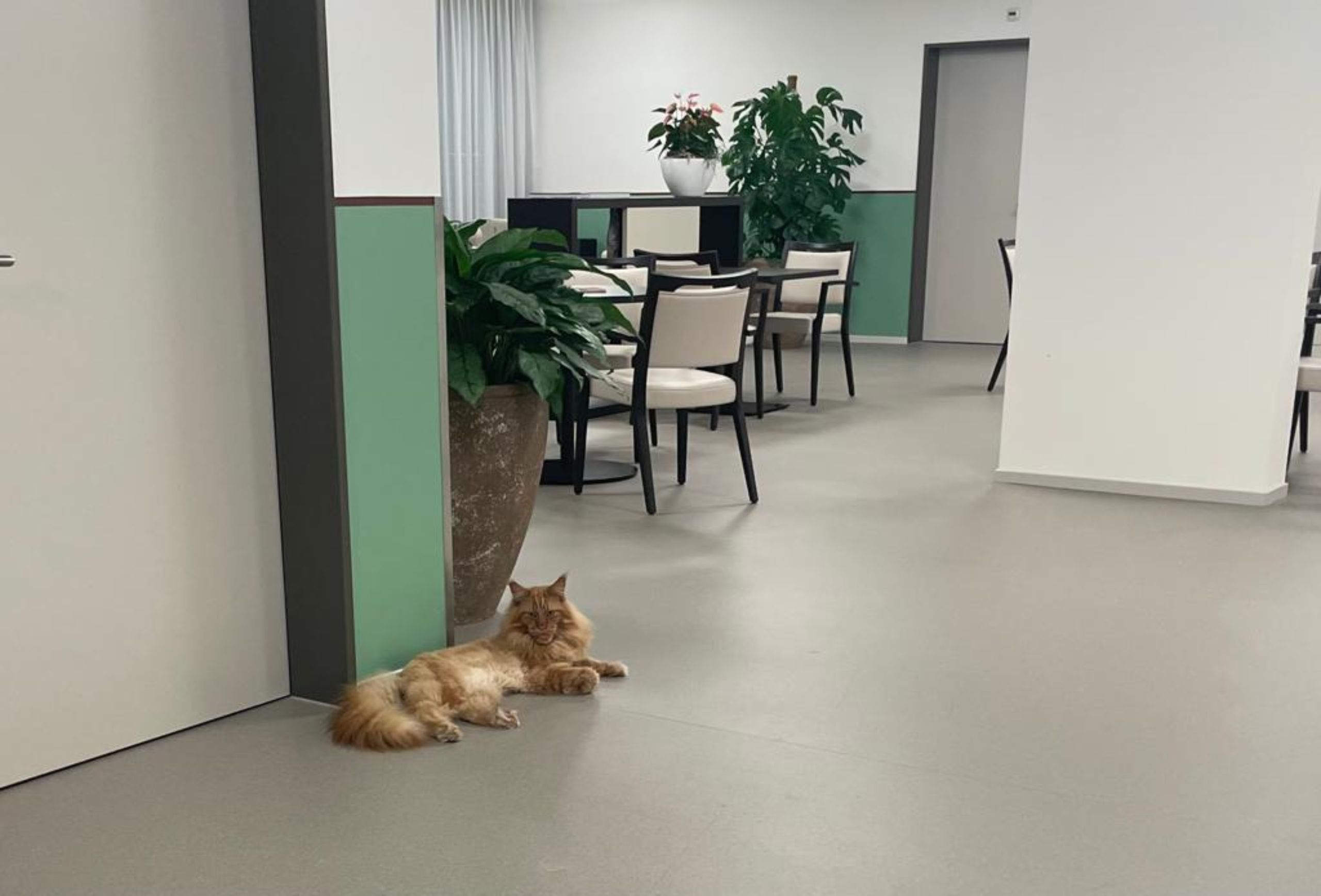 017a9a38-6a74-4b51-a7a4-c09b42c31aeb