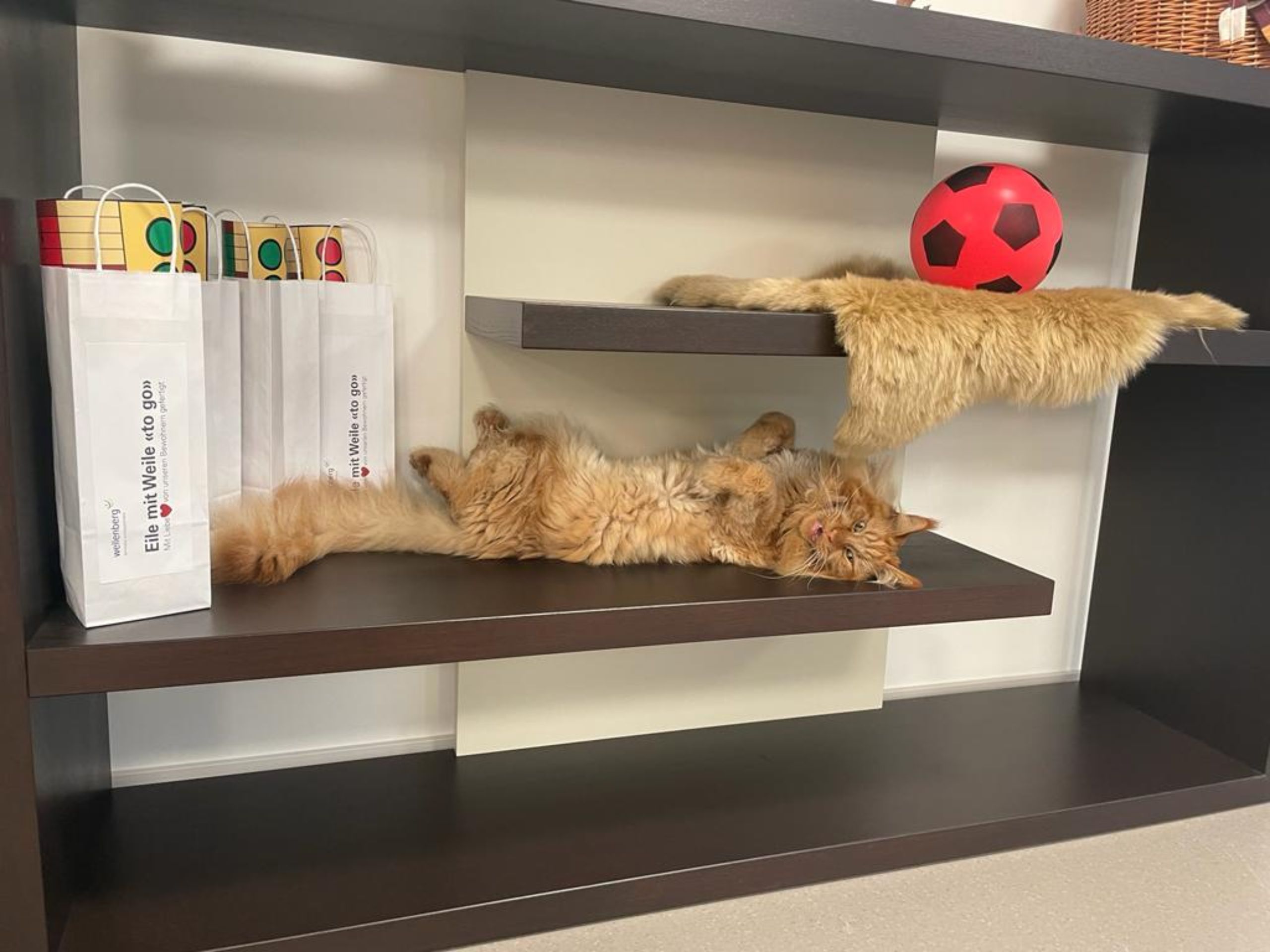 11c9d2b0-3a66-4075-a5fa-3901a5ea9fa5