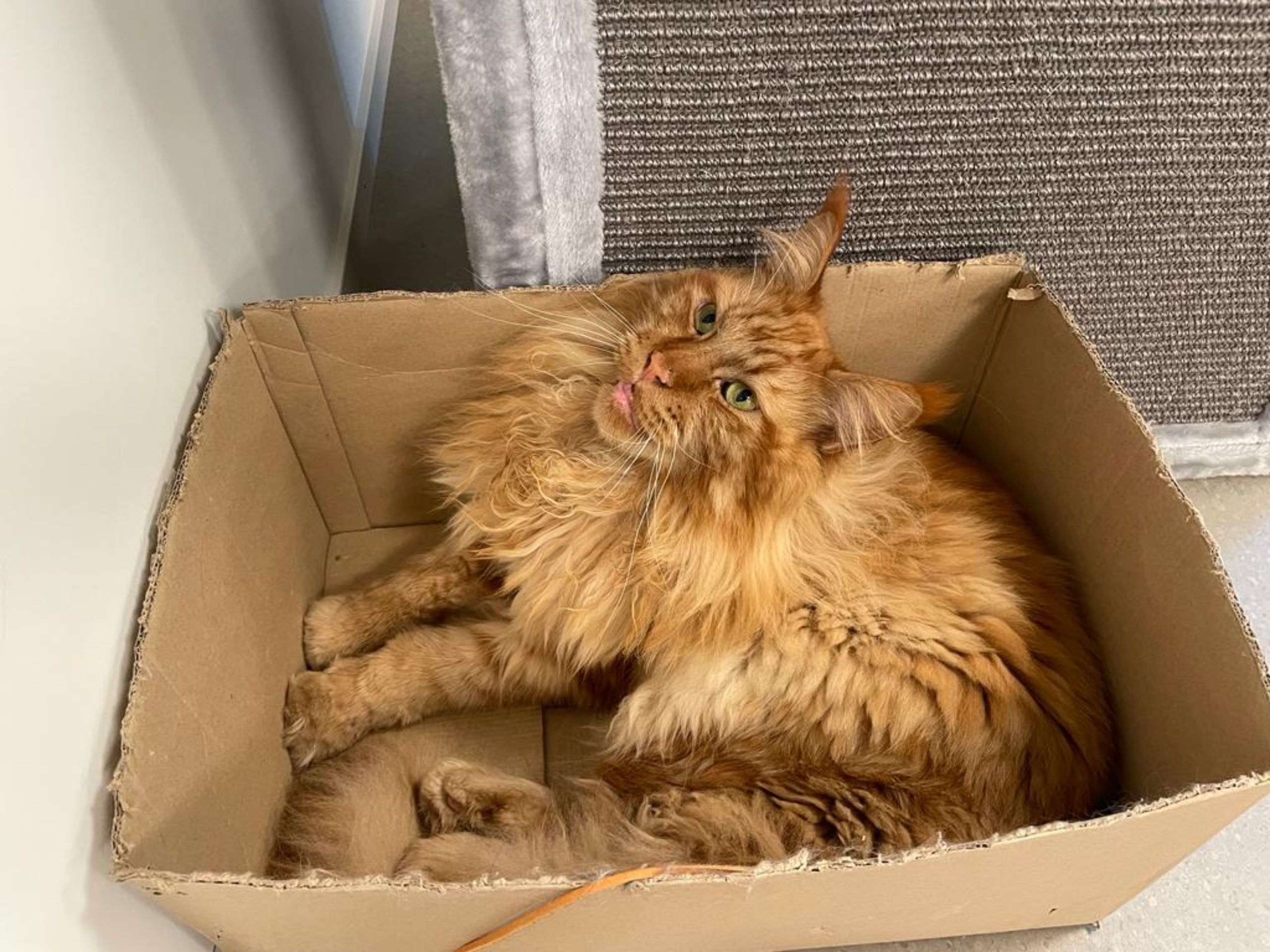 645b468f-39fc-4de7-9cd7-563992a15b40