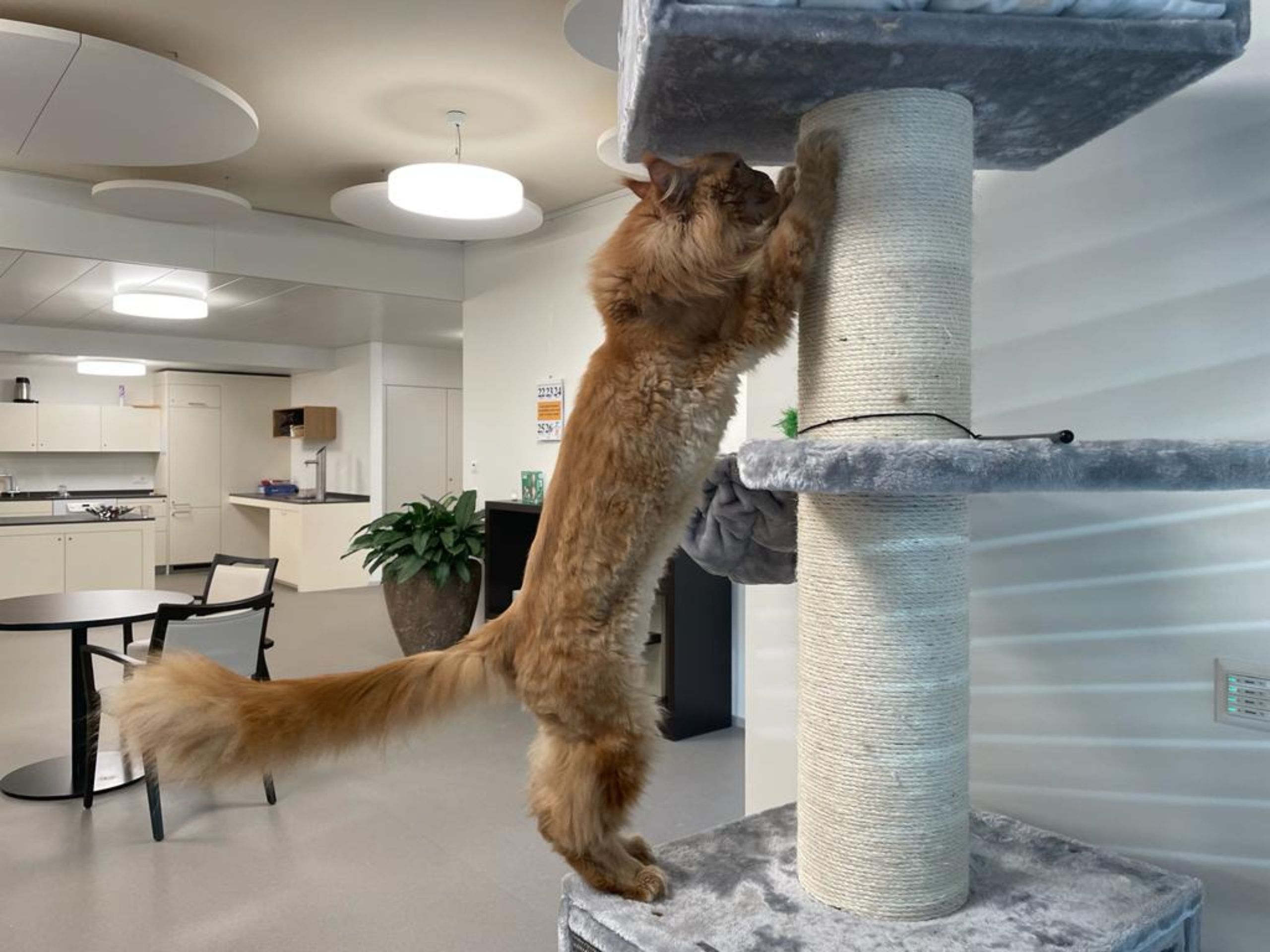 67d0571b-30f1-46d9-83bd-f0e5a087d3aa