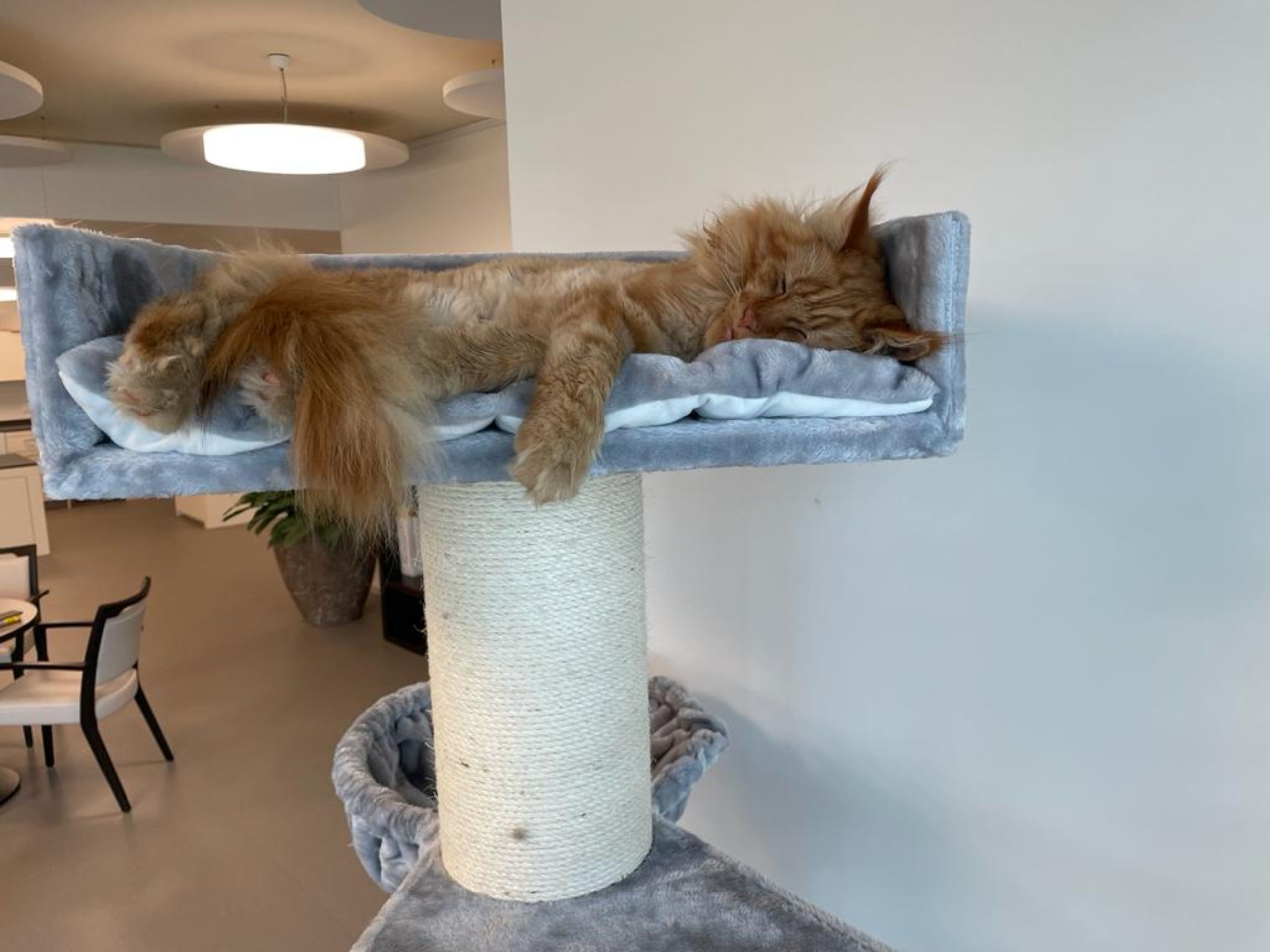 8c6014a7-36a2-47f7-8734-91259640820d