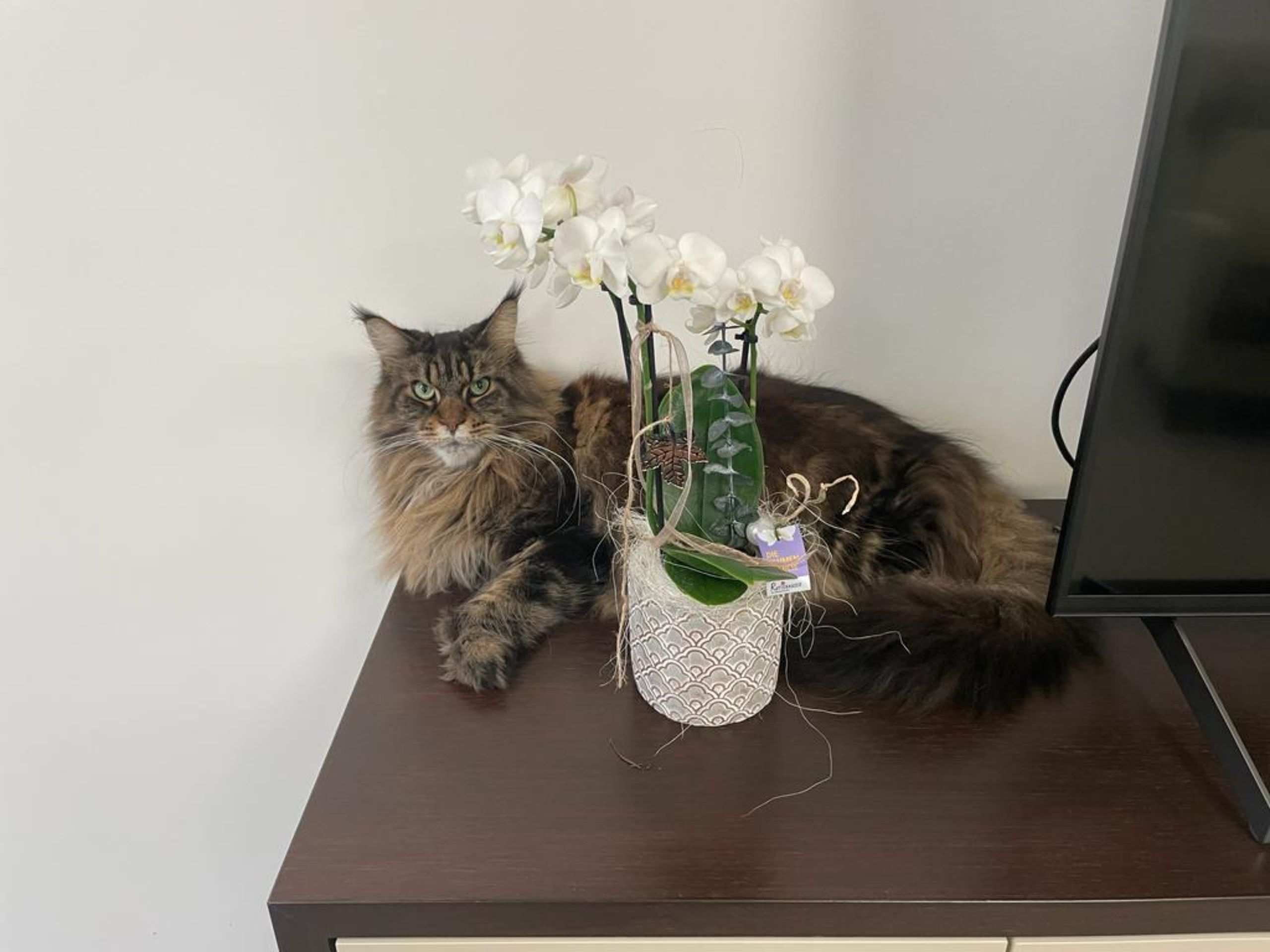 fcb52327-230c-4609-ab89-e5baec516045