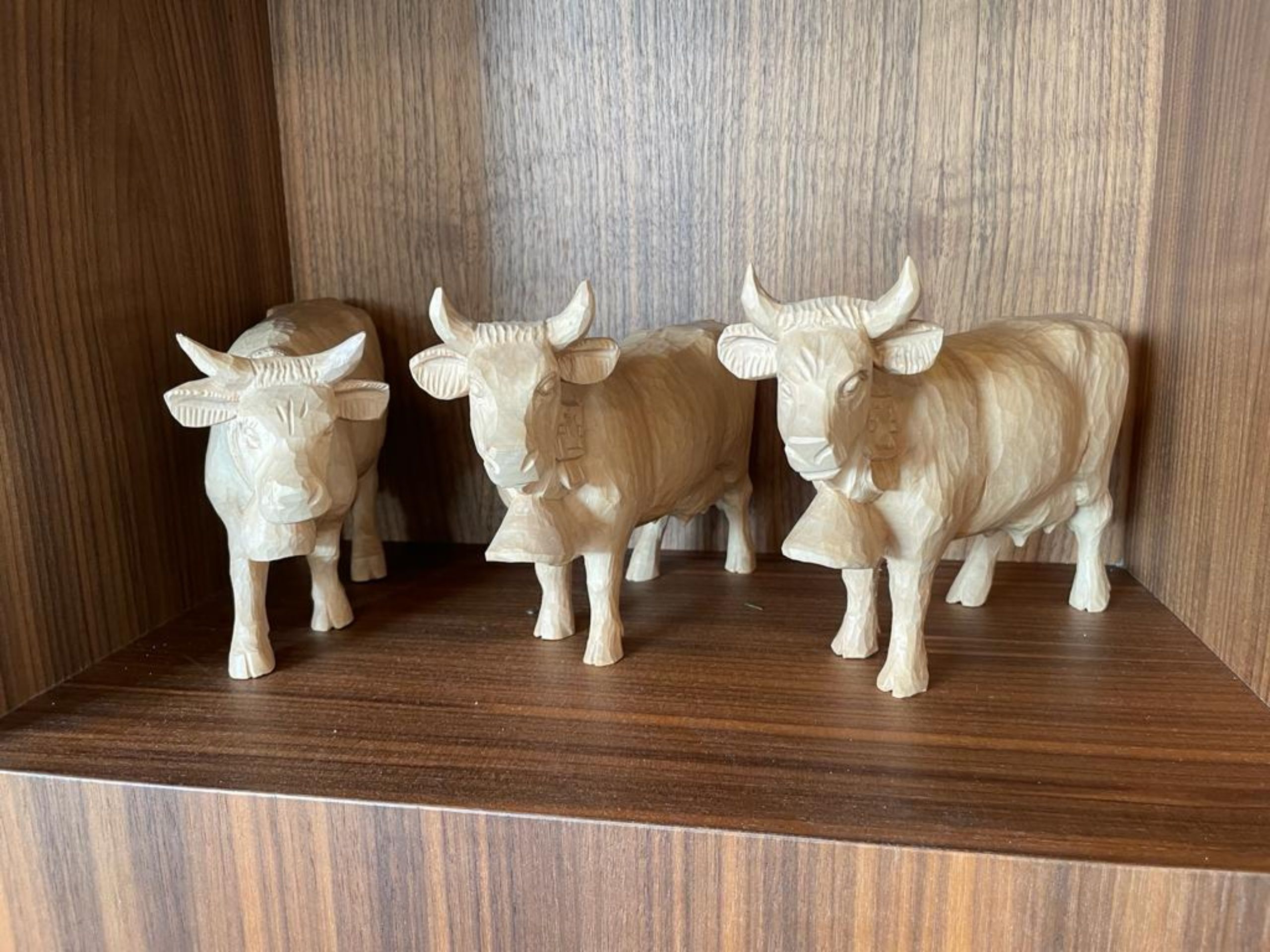 899515b2-721d-4244-b403-a72184ceea18