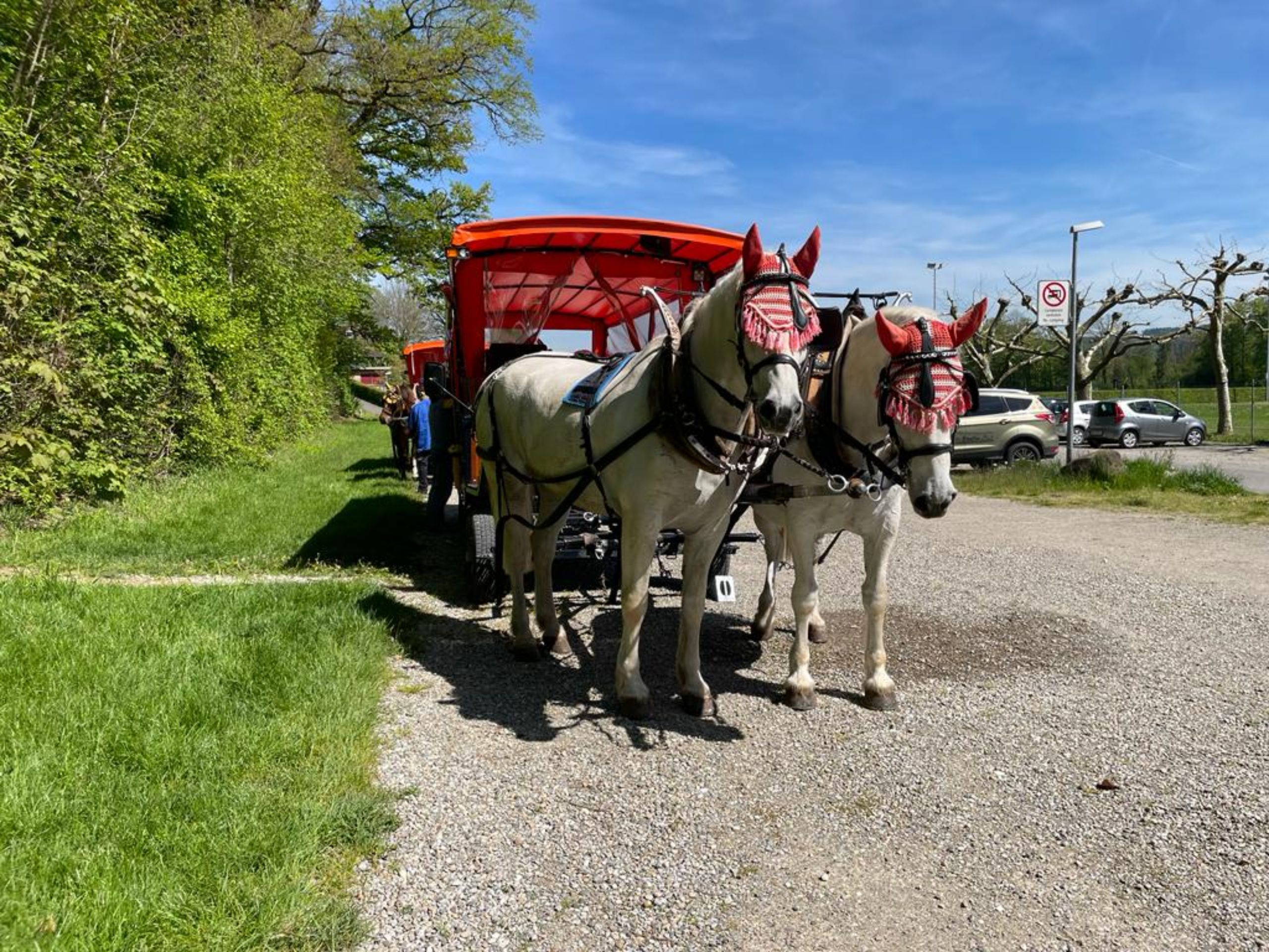 WhatsApp Image 2023-05-10 at 18.08.13