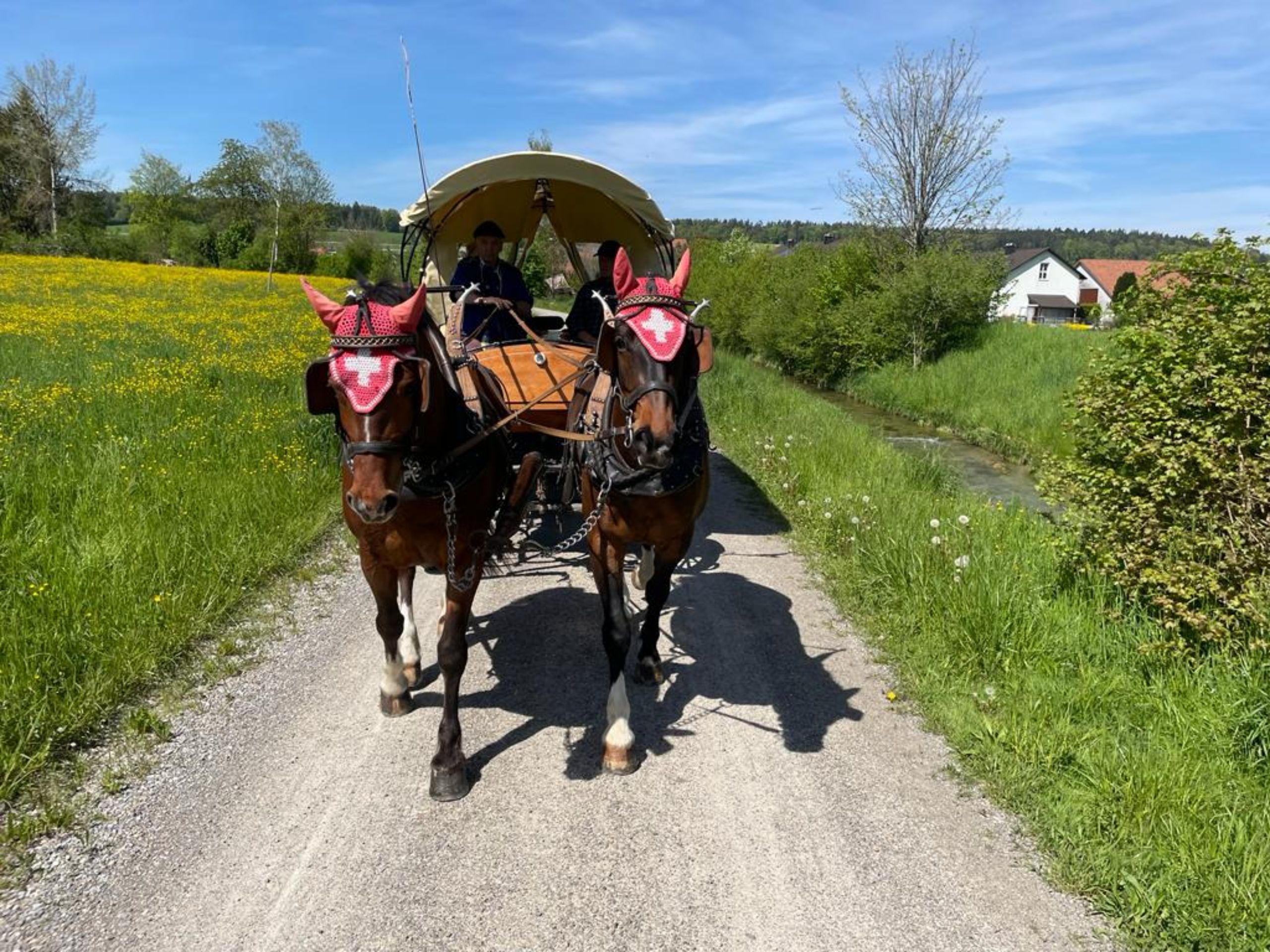 WhatsApp Image 2023-05-10 at 18.08.14 (1)