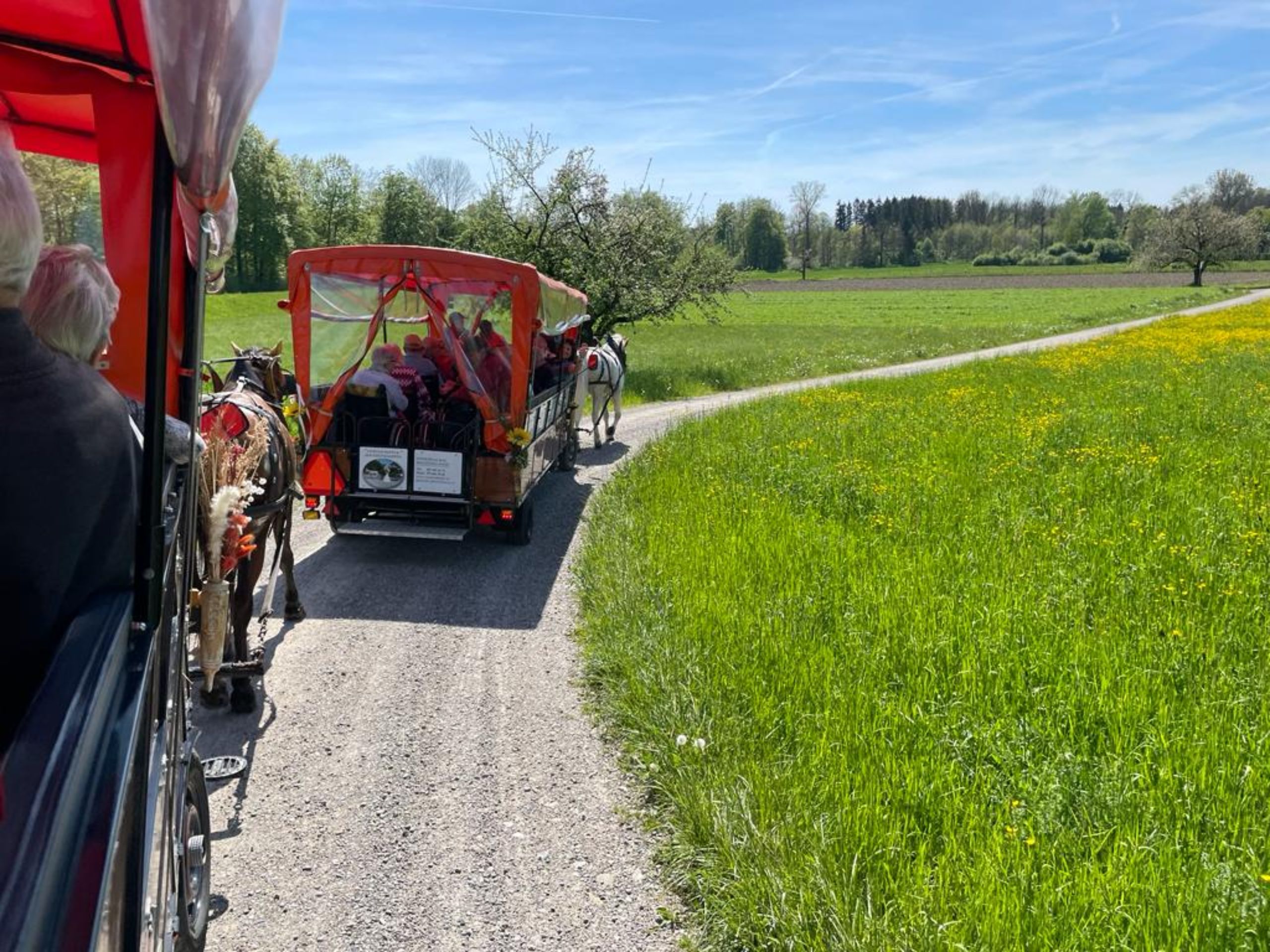 WhatsApp Image 2023-05-10 at 18.08.14