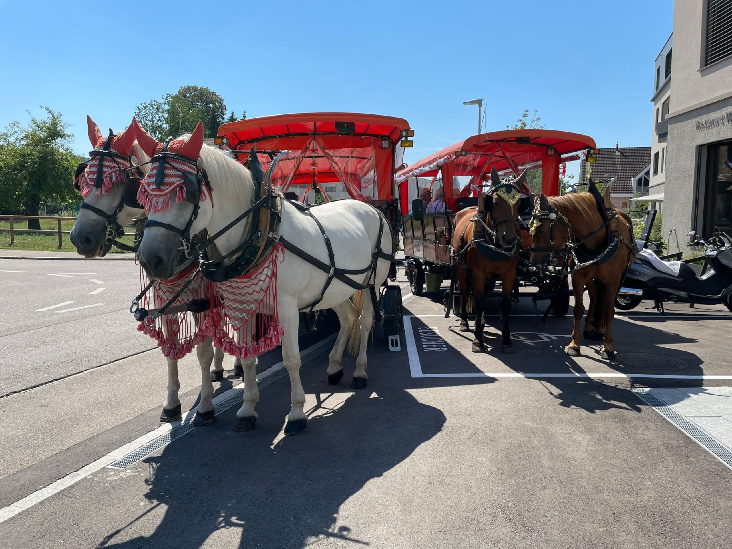 87d494ea-b3c9-4747-9005-f7cf62e80ed7