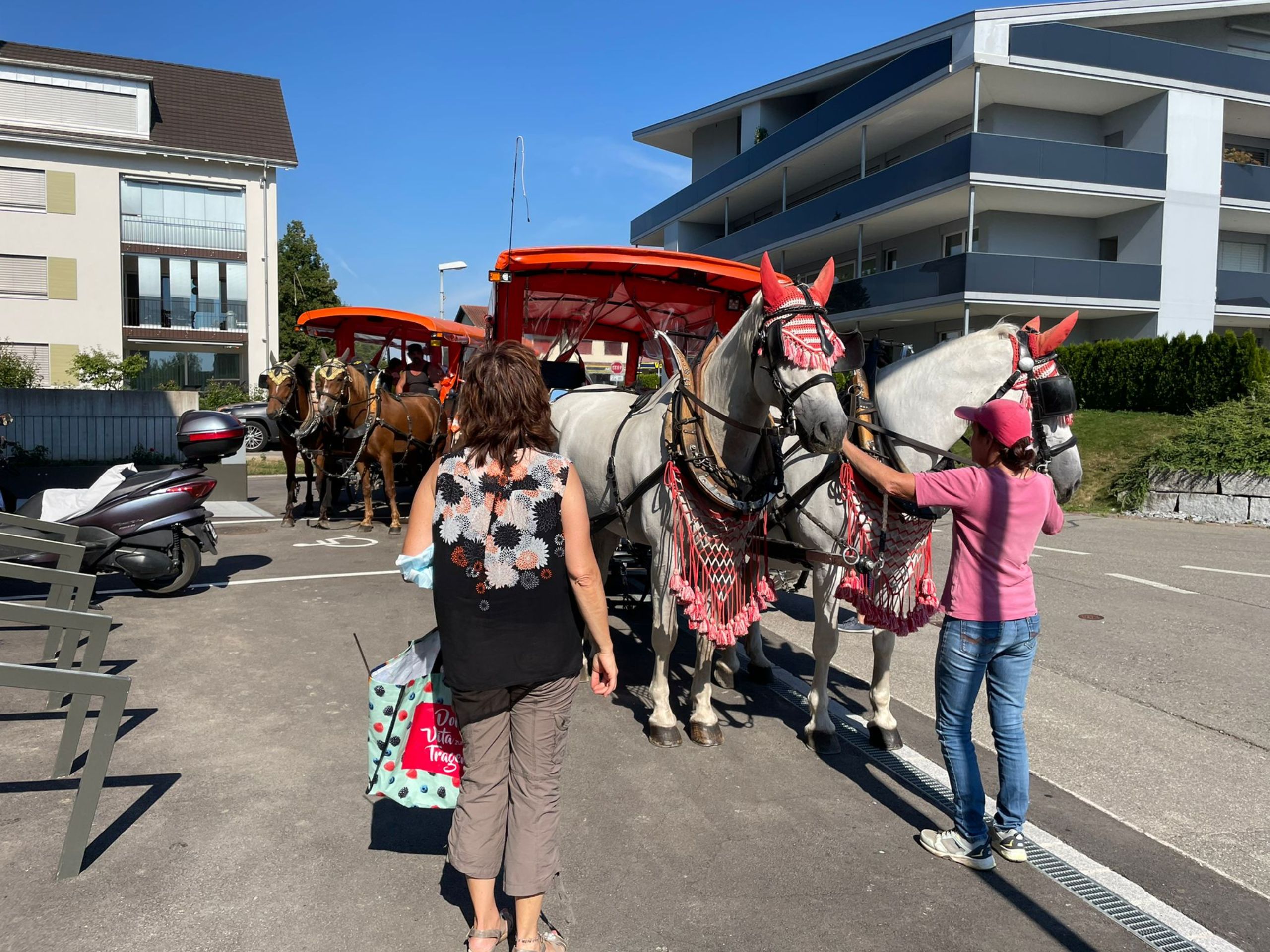 f0d7ecbb-51f6-43f4-8f03-469771163dd8