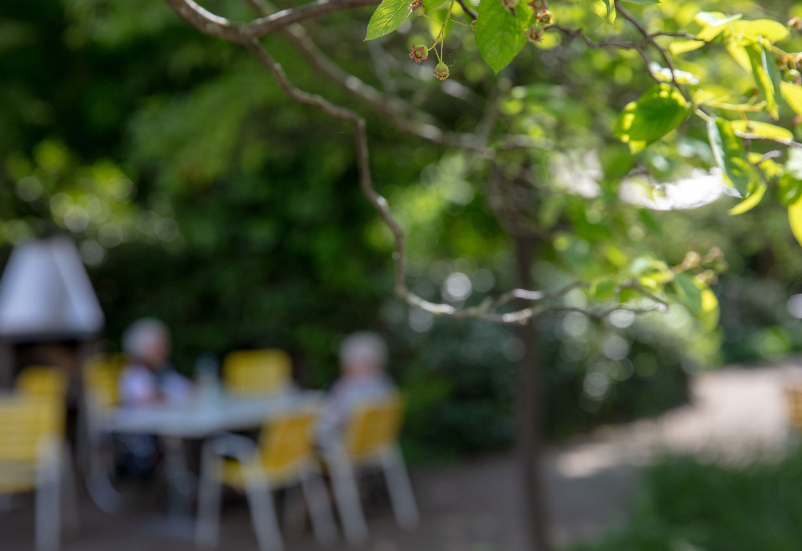 Füllbild Garten unscharf